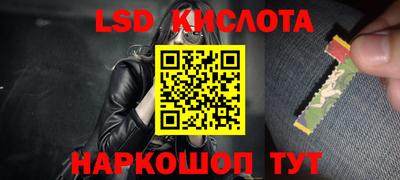 СК Новозыбков