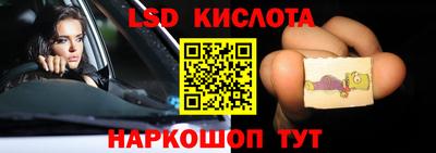 СК Новозыбков
