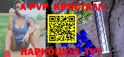 СК Новозыбков