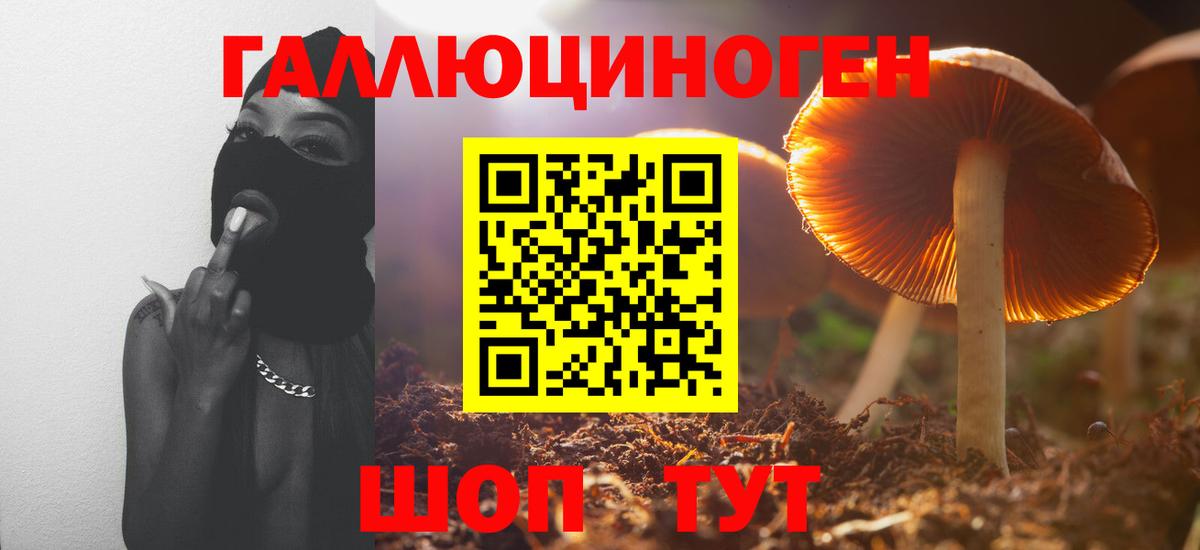 Псилоцибиновые грибы Cubensis  наркошоп  Фролово  Вход с VPN 